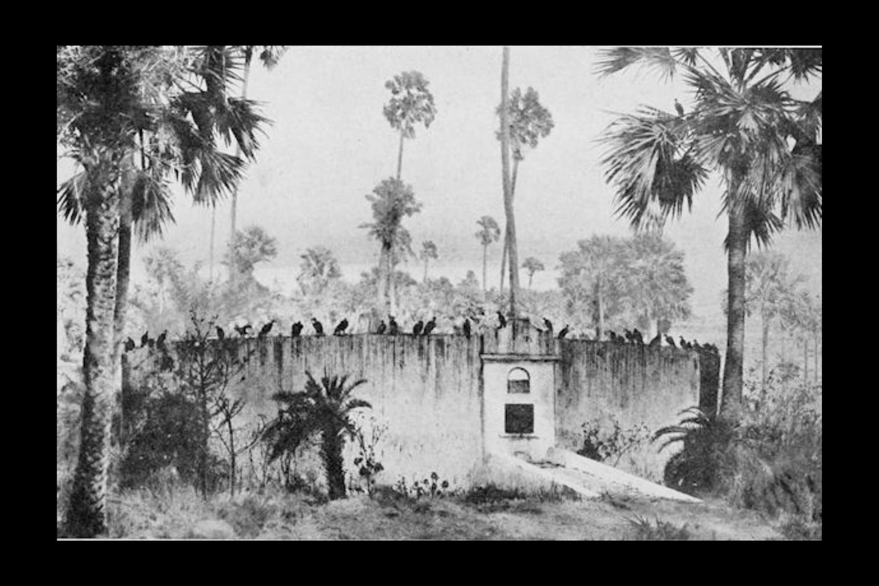 Tour du Silence (Dakhma) de Malabar Hill, Bombay — lieu funéraire des Parsis zoroastriens d'Inde, où les corps sont exposés aux vautours pour éviter de souiller les éléments sacrés feu, eau et terre